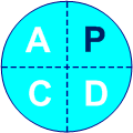 pdca p